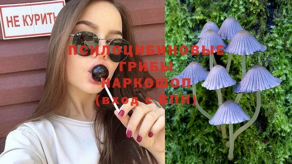эйфоретик Медвежьегорск