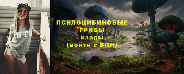 бутират Магадан