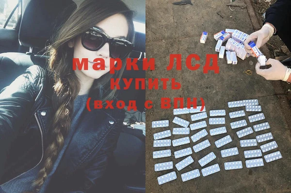 эйфоретик Медвежьегорск